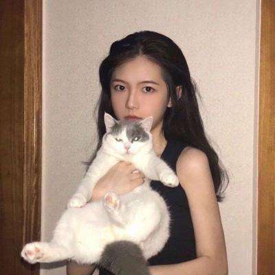 决战洪荒手游变态版下载